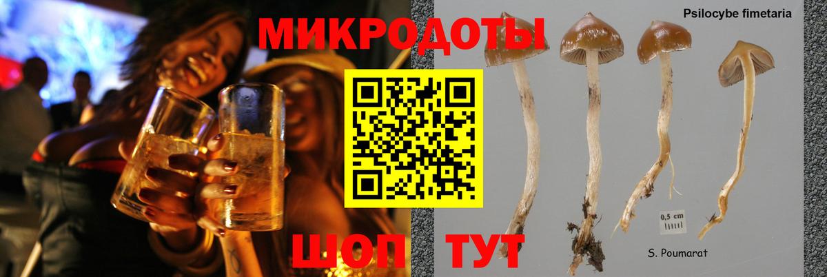 Нальчик  Псилоцибиновые грибы Magic Shrooms  Вход с VPN 